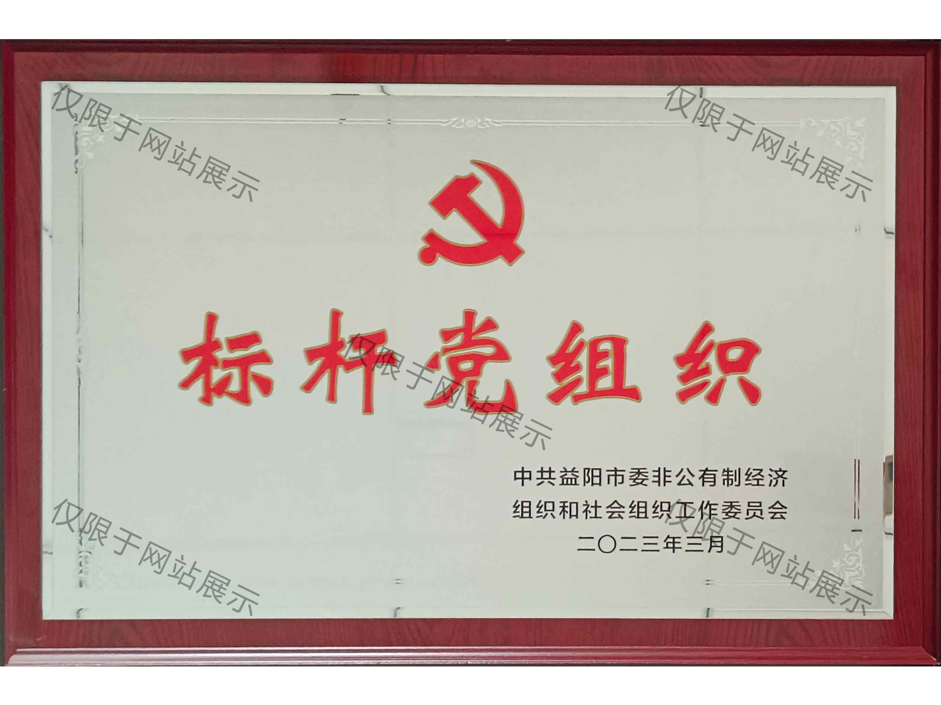 2023年益阳市标杆党组织