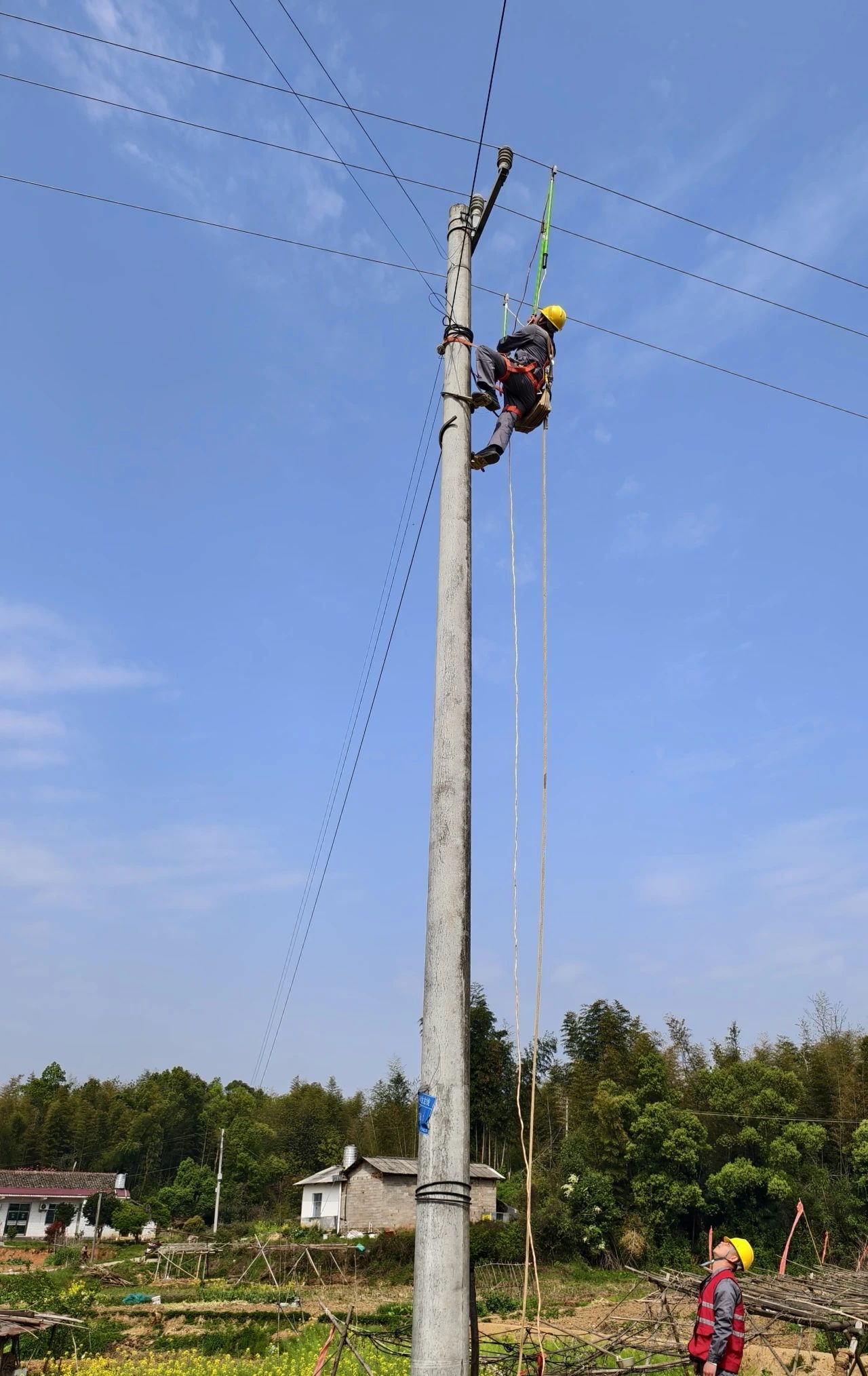 新闻动态 新闻动态
